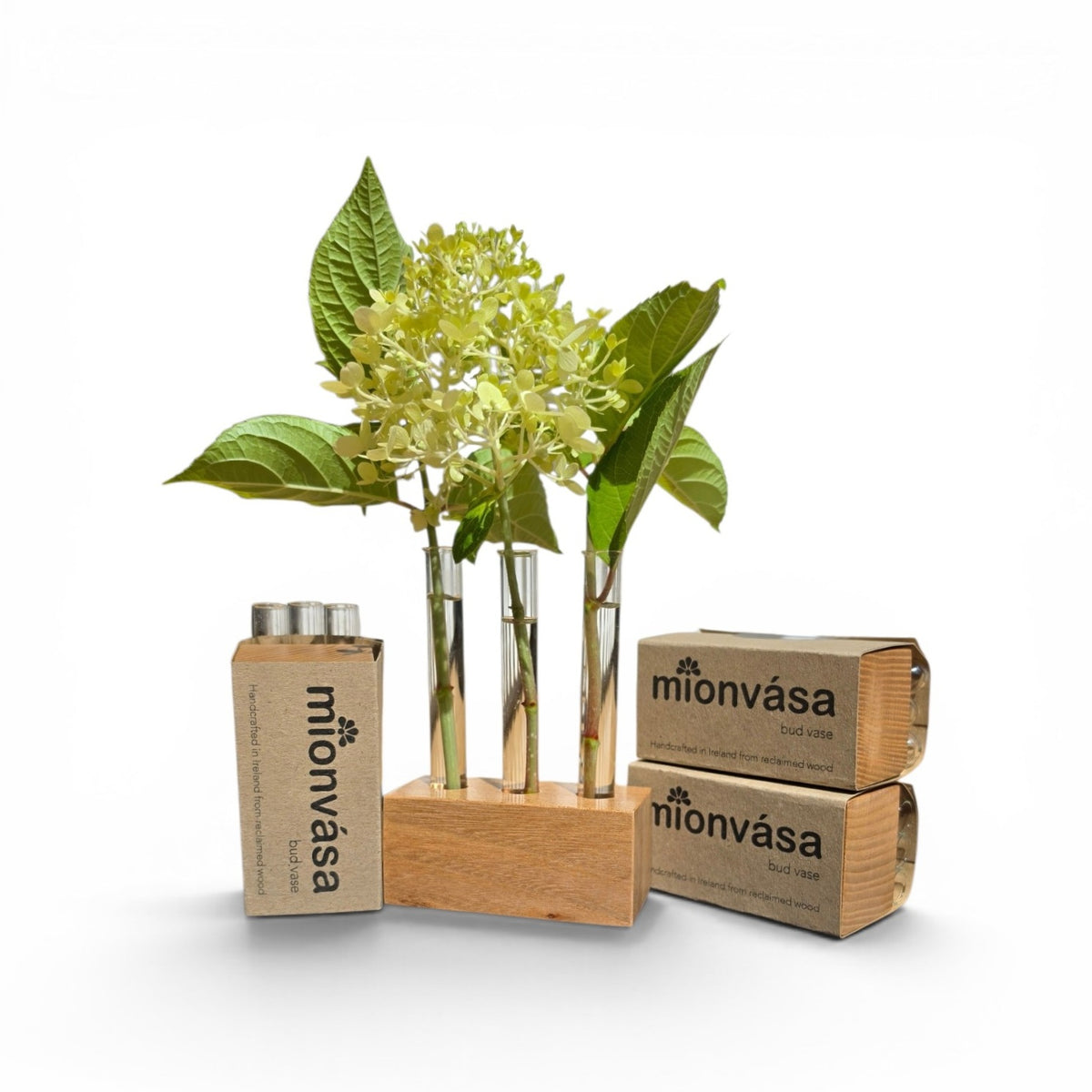 Mionvása (Bud Vase)