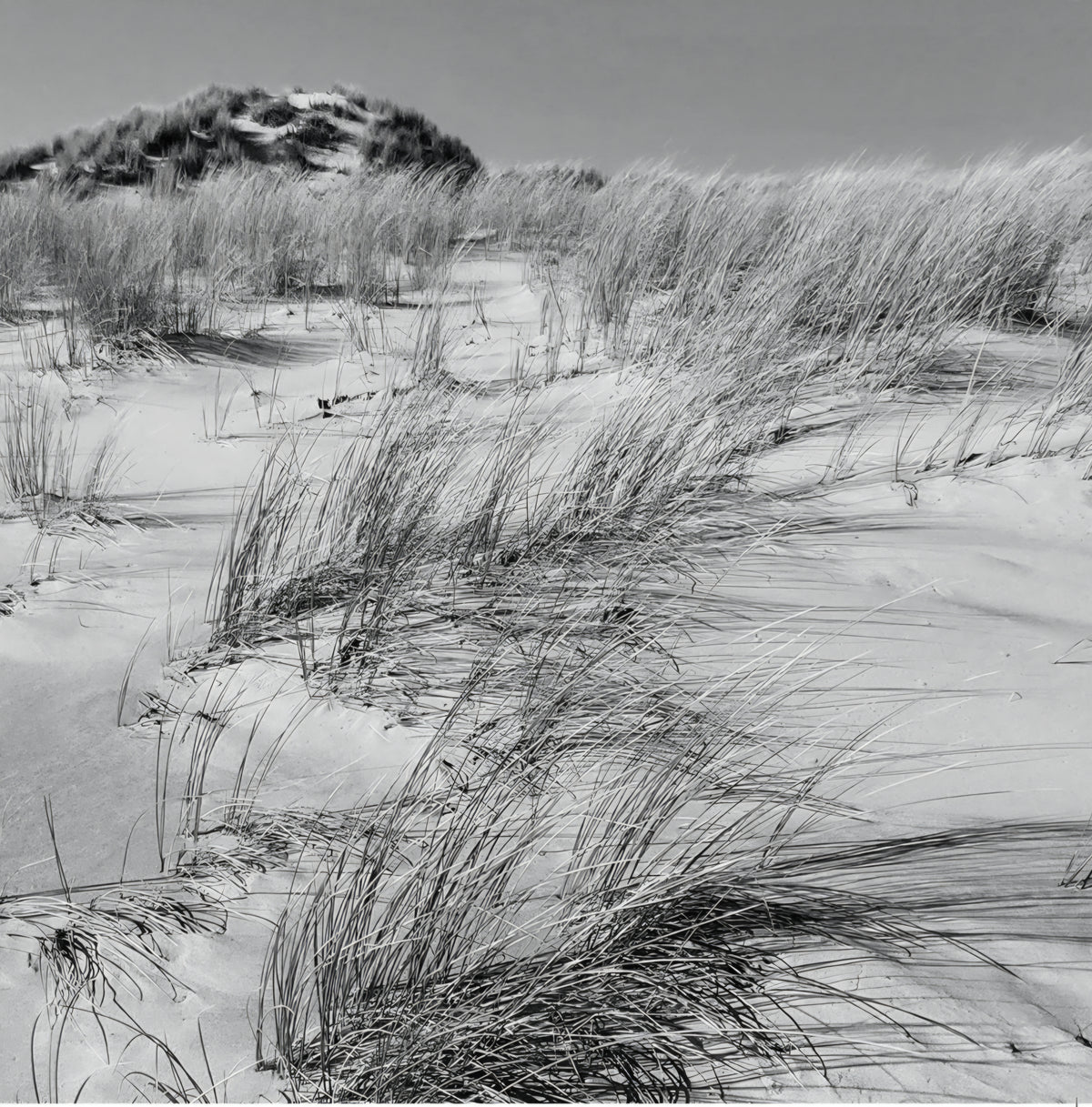 East Coast Beaches Framed (FREE SHIPPING IN IRELAND!)