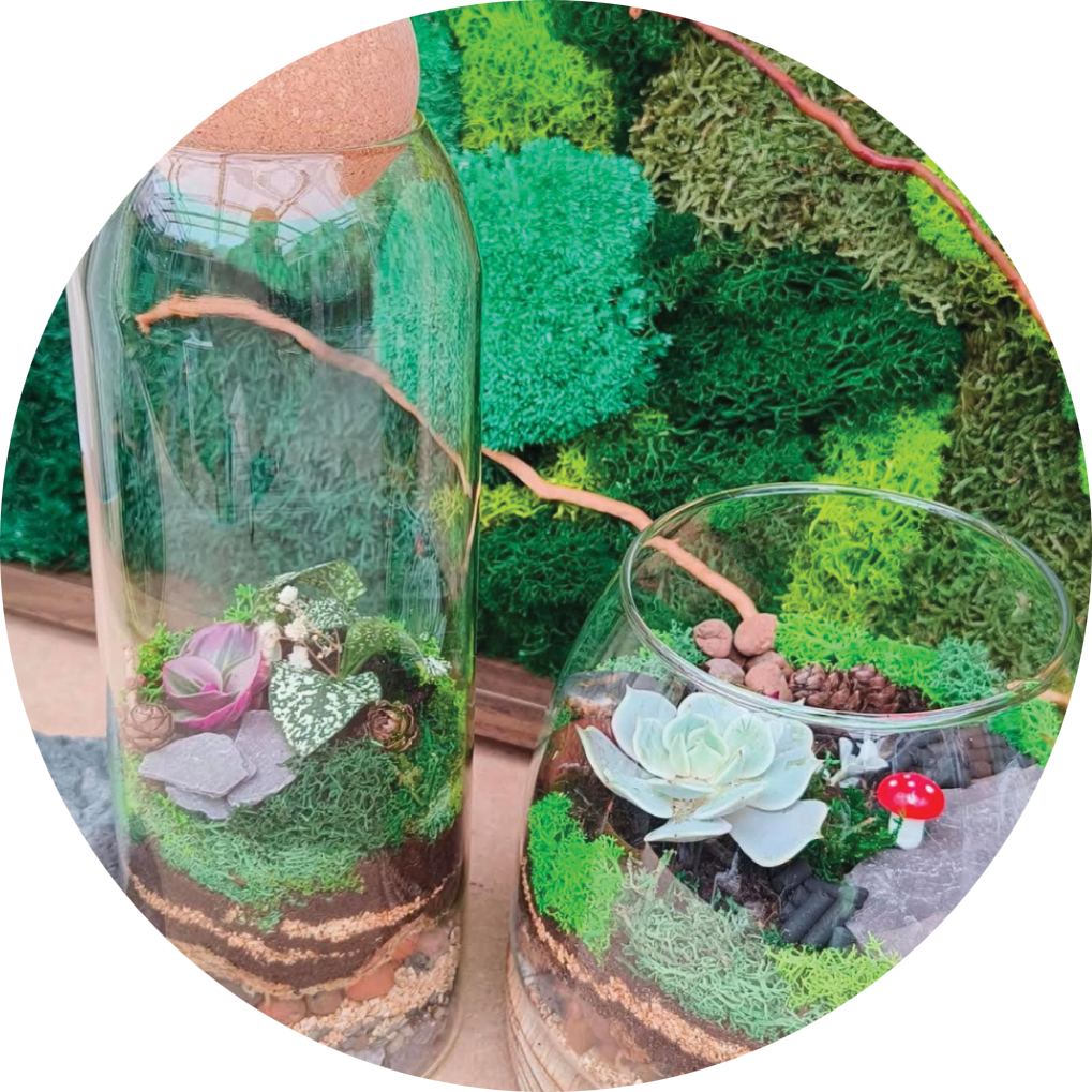 TERRARIUM DESIGN - Friday, February 20th