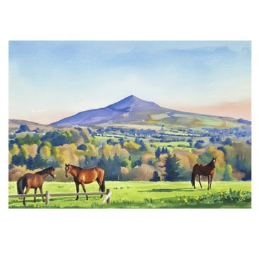 Powerscourt Collection Greeting Cards